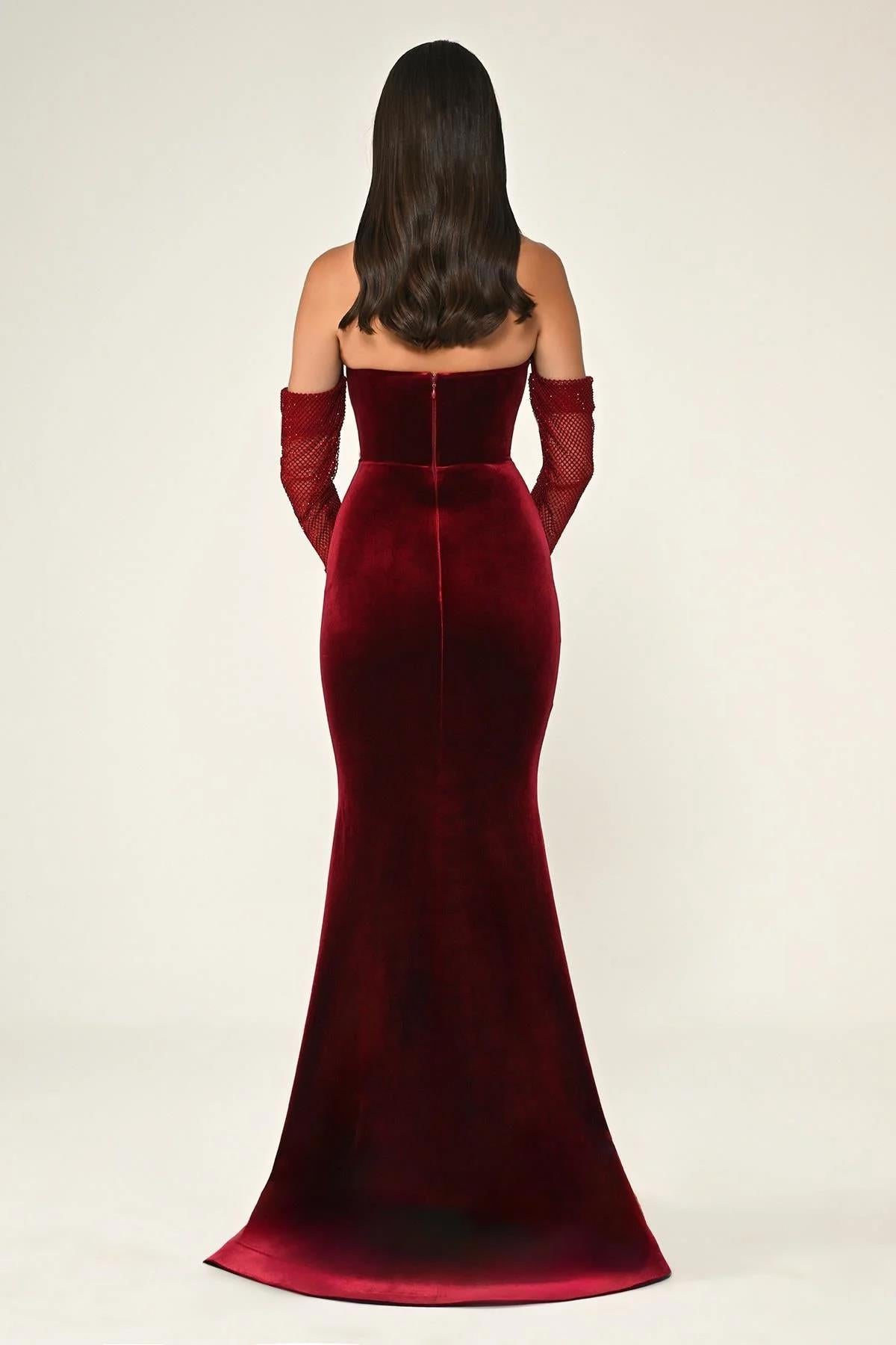 Fish Cut Velvet Long Evening Dress with Fishnet Sleeves