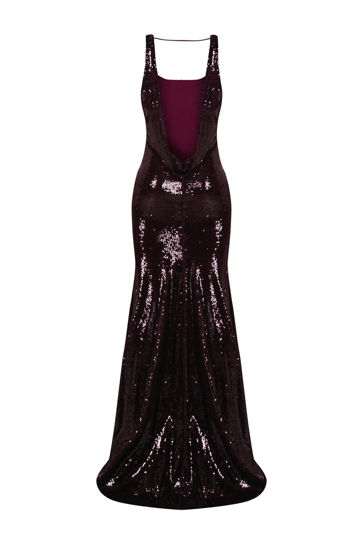 Pul Payet İşlemeli Askılı Abiye Elbise